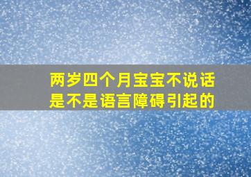 两岁四个月宝宝不说话是不是语言障碍引起的