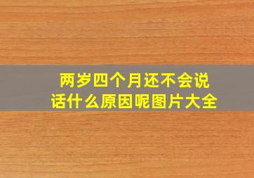 两岁四个月还不会说话什么原因呢图片大全