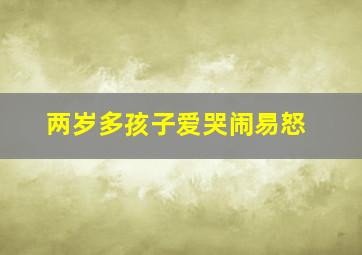 两岁多孩子爱哭闹易怒