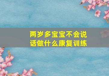 两岁多宝宝不会说话做什么康复训练