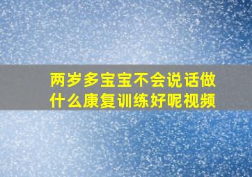 两岁多宝宝不会说话做什么康复训练好呢视频