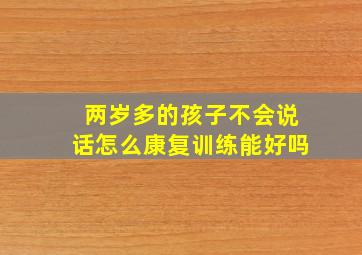 两岁多的孩子不会说话怎么康复训练能好吗