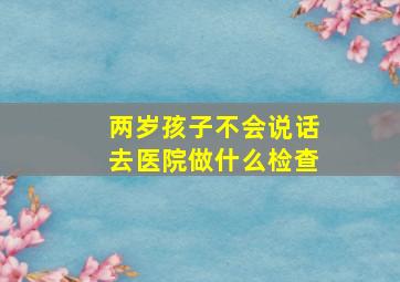 两岁孩子不会说话去医院做什么检查