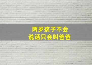 两岁孩子不会说话只会叫爸爸