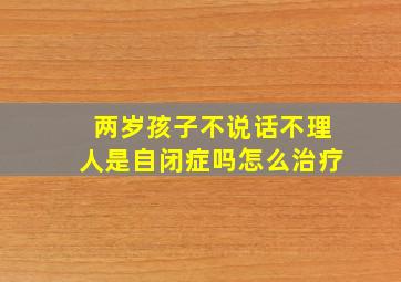 两岁孩子不说话不理人是自闭症吗怎么治疗