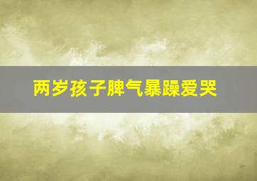 两岁孩子脾气暴躁爱哭