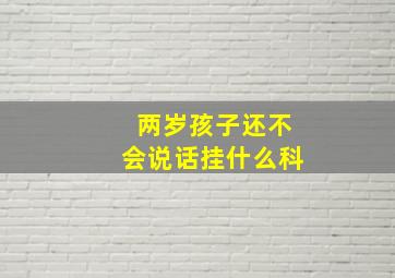 两岁孩子还不会说话挂什么科