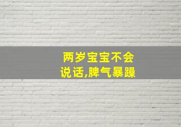 两岁宝宝不会说话,脾气暴躁