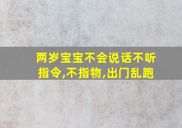 两岁宝宝不会说话不听指令,不指物,出门乱跑