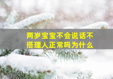 两岁宝宝不会说话不搭理人正常吗为什么