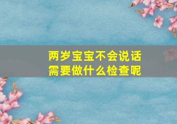 两岁宝宝不会说话需要做什么检查呢