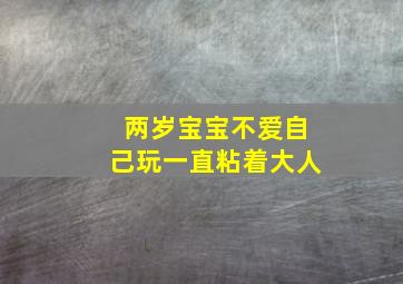 两岁宝宝不爱自己玩一直粘着大人