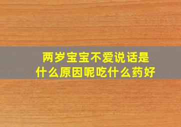 两岁宝宝不爱说话是什么原因呢吃什么药好