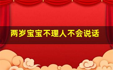 两岁宝宝不理人不会说话