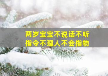 两岁宝宝不说话不听指令不理人不会指物