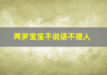 两岁宝宝不说话不理人