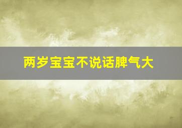 两岁宝宝不说话脾气大