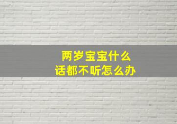 两岁宝宝什么话都不听怎么办