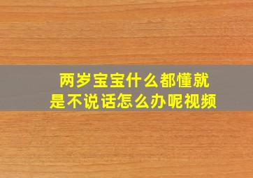 两岁宝宝什么都懂就是不说话怎么办呢视频