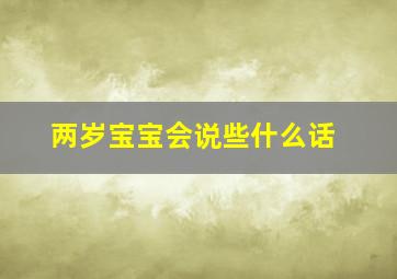 两岁宝宝会说些什么话