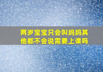 两岁宝宝只会叫妈妈其他都不会说需要上课吗