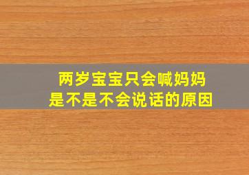 两岁宝宝只会喊妈妈是不是不会说话的原因