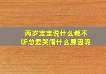 两岁宝宝说什么都不听总爱哭闹什么原因呢