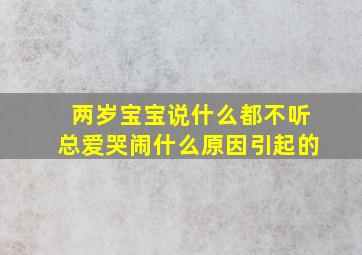 两岁宝宝说什么都不听总爱哭闹什么原因引起的