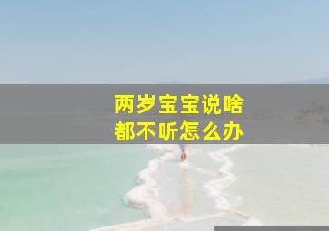 两岁宝宝说啥都不听怎么办