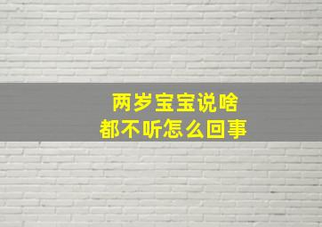 两岁宝宝说啥都不听怎么回事