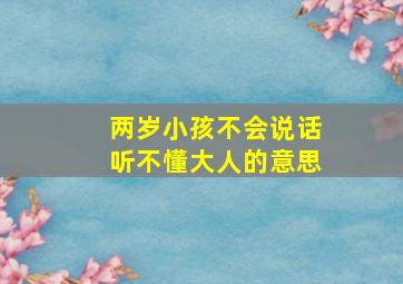 两岁小孩不会说话听不懂大人的意思