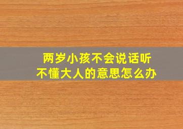 两岁小孩不会说话听不懂大人的意思怎么办