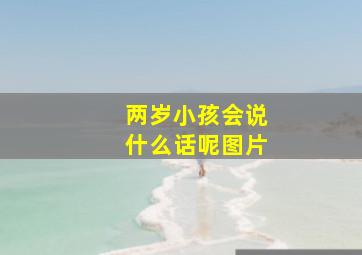 两岁小孩会说什么话呢图片