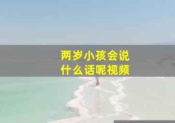 两岁小孩会说什么话呢视频