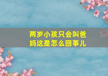 两岁小孩只会叫爸妈这是怎么回事儿