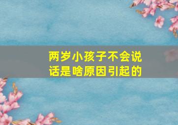 两岁小孩子不会说话是啥原因引起的