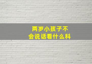 两岁小孩子不会说话看什么科