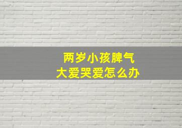 两岁小孩脾气大爱哭爱怎么办