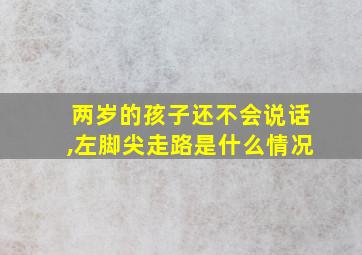 两岁的孩子还不会说话,左脚尖走路是什么情况