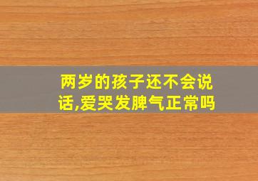 两岁的孩子还不会说话,爱哭发脾气正常吗