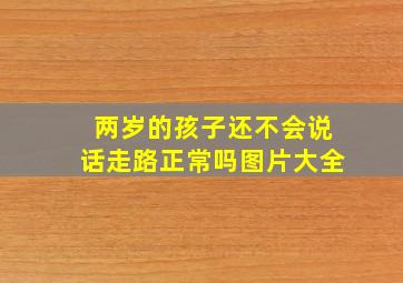 两岁的孩子还不会说话走路正常吗图片大全