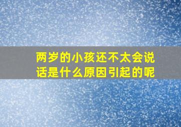 两岁的小孩还不太会说话是什么原因引起的呢