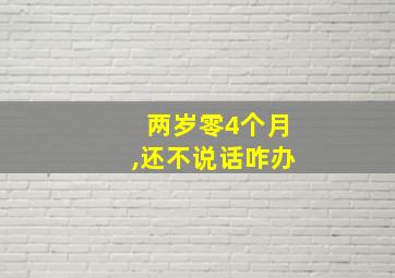 两岁零4个月,还不说话咋办