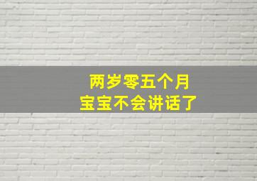 两岁零五个月宝宝不会讲话了