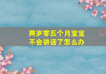 两岁零五个月宝宝不会讲话了怎么办