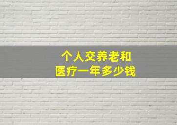 个人交养老和医疗一年多少钱