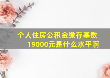 个人住房公积金缴存基数19000元是什么水平啊