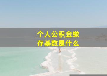 个人公积金缴存基数是什么