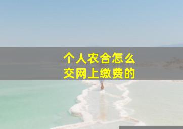 个人农合怎么交网上缴费的