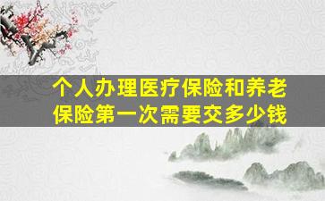 个人办理医疗保险和养老保险第一次需要交多少钱